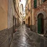 Il Gallo - Charming Apartment In Lucca Heart